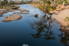 170208_087_bildgrc3b6c39fe-c3a4ndern