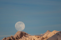 200208_d850_007b